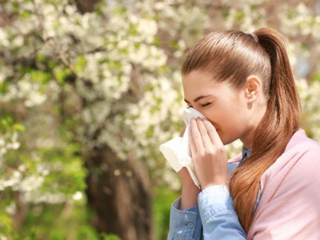 Alerte Rouge Pollen: Un Week-End Intense Dans Le Nord